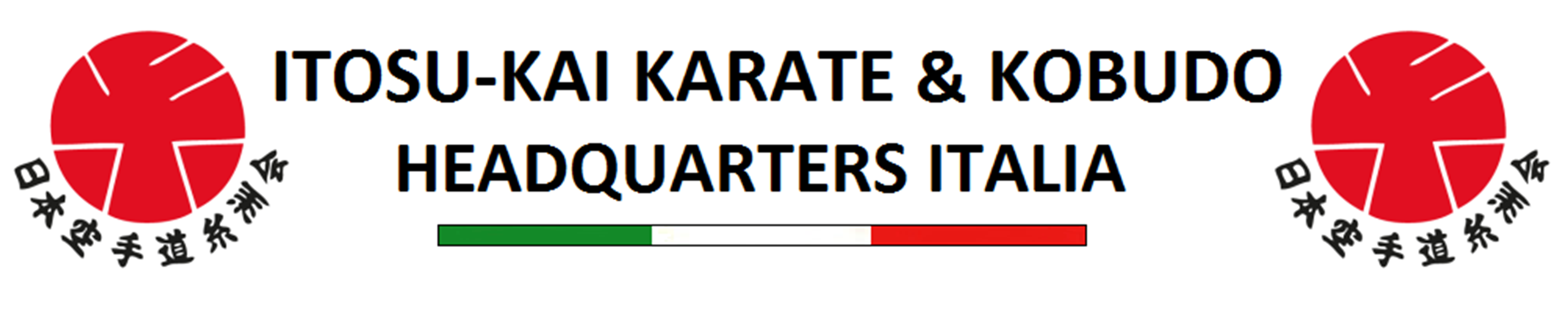 Itosu Kai Italia Logo